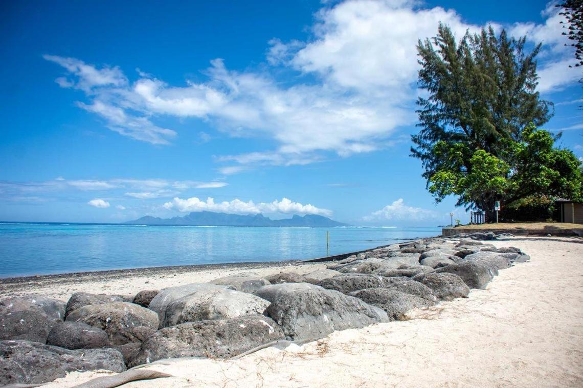 Tuatahi Beach Lodge بوناويا المظهر الخارجي الصورة